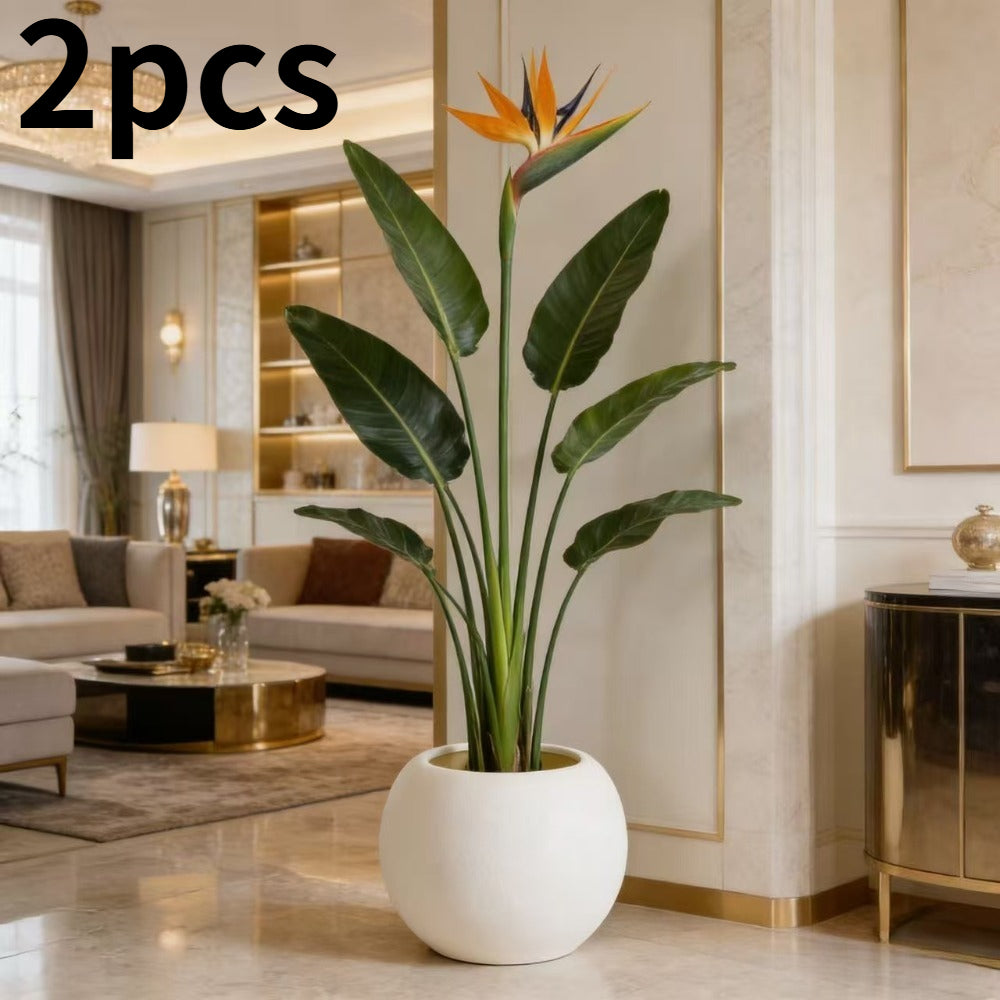 Set of 2 Contemporary Egg-Shaped Plastic Pots Designed for Both Indoor And Outdoor Use, Perfect for Houseplants, Succulents, Flowers, And Cacti. These Pots Serve As Stylish Garden And Home Decorations