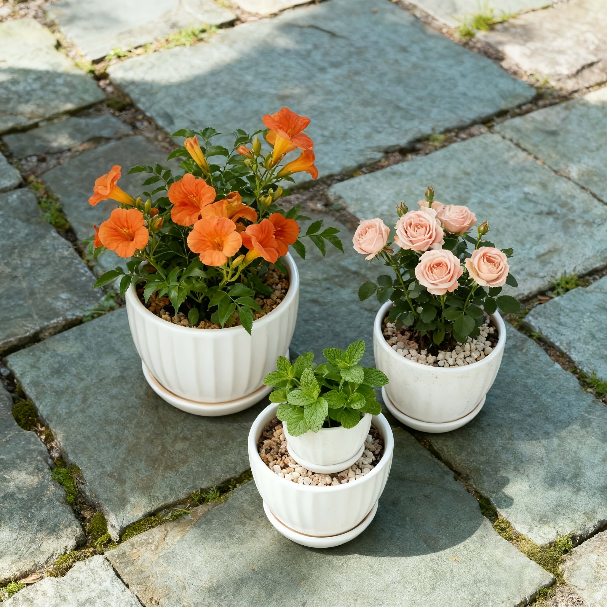 3pcs 6-inch 5-inch 4-inch Large, Medium And Small Corrugated Pattern Ceramic Flower Pot with Drainage Holes - Perfect for Indoor And Outdoor Succulents, Vanilla And Flowers, Casual Style, Round Design