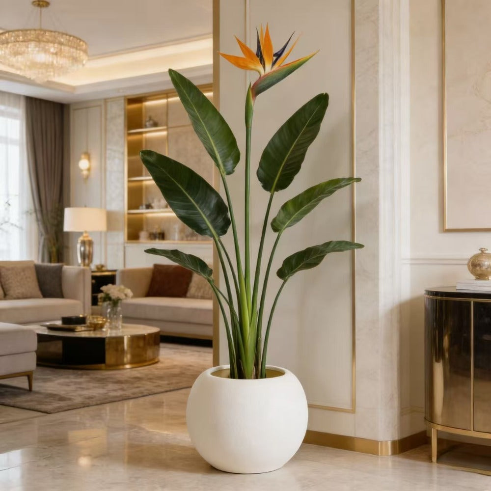 Set of 2 Contemporary Egg-Shaped Plastic Pots Designed for Both Indoor And Outdoor Use, Perfect for Houseplants, Succulents, Flowers, And Cacti. These Pots Serve As Stylish Garden And Home Decorations