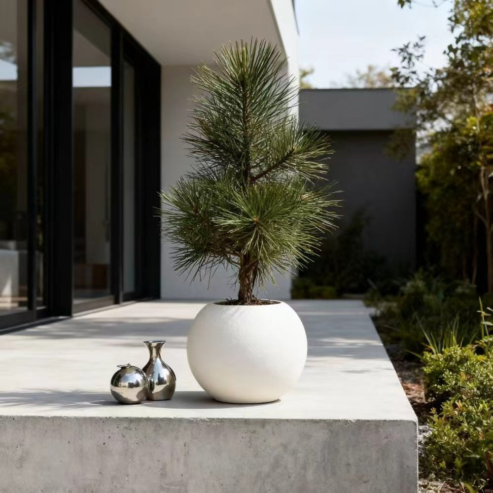 Set of 2 Contemporary Egg-Shaped Plastic Pots Designed for Both Indoor And Outdoor Use, Perfect for Houseplants, Succulents, Flowers, And Cacti. These Pots Serve As Stylish Garden And Home Decorations